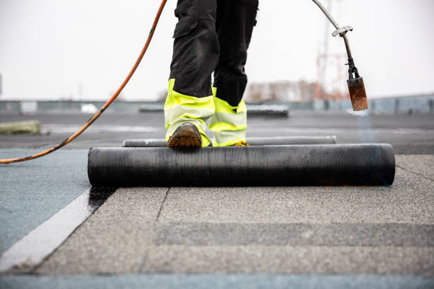 Best Roof Insulation Installation  in St Vincent College, PA