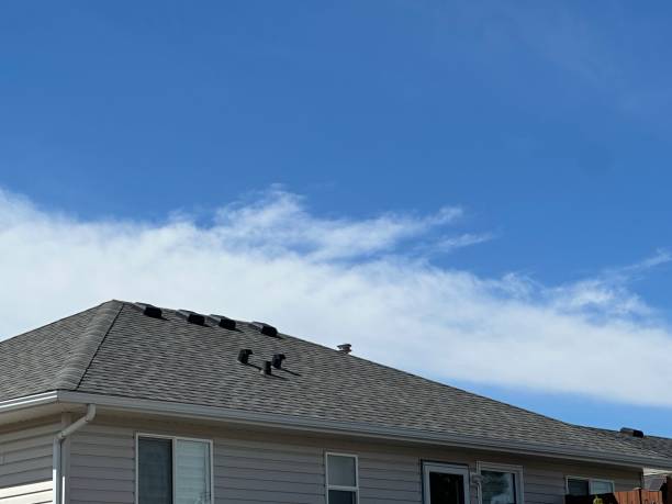 Best Hot Roofs  in St Vincent College, PA